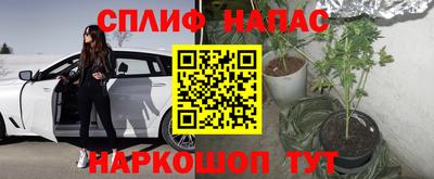 ГАЛЛЮЦИНОГЕННЫЕ ГРИБЫ Гусиноозёрск