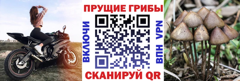 Псилоцибиновые грибы MAGIC MUSHROOMS Междуреченск