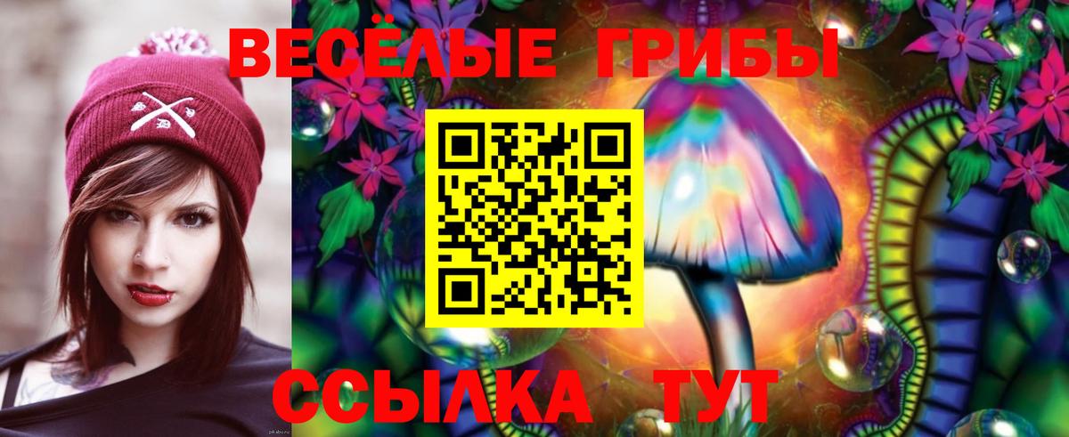 Псилоцибиновые грибы мицелий  Вход с VPN  Междуреченск 